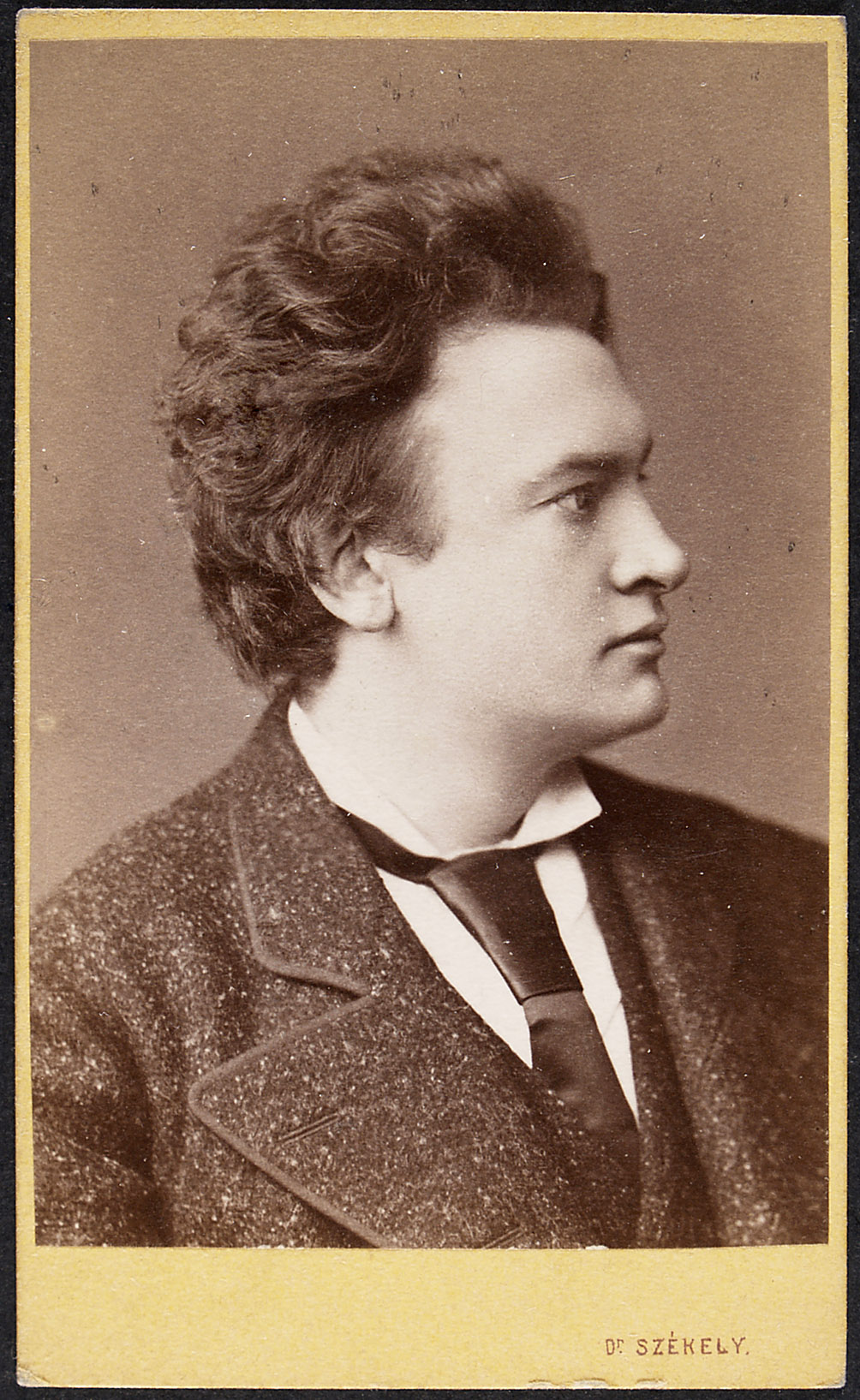 Friedrich Mitterwurzer