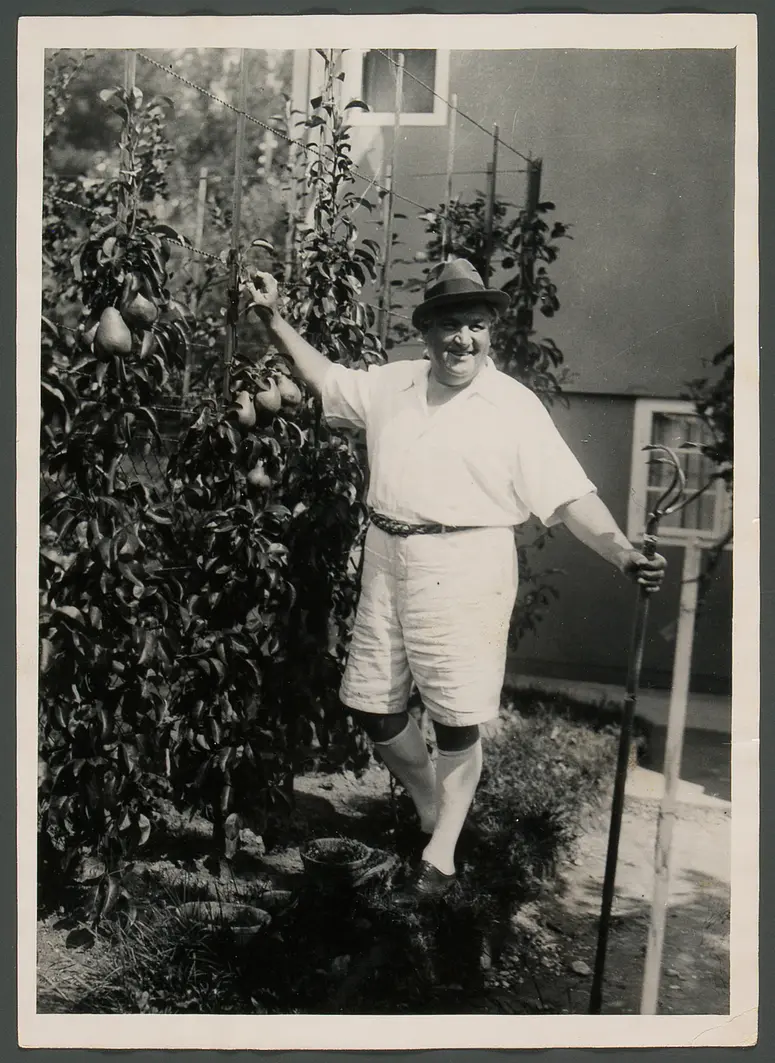 Alfred Piccaver