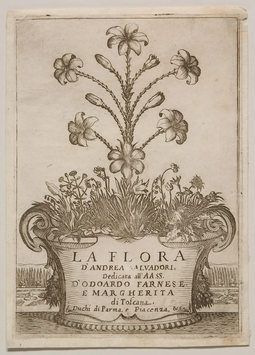 La Flora, Alternativtitel: La Flora, o vero il natal de'fiori, Titel in Vorlageform: La Flora d'Andrea Salvadori. Dedicata all'AA.SS. d'Odoardo Farnese e Margherita di Toscana. Duchi di Parma, e Piacenza, & c.