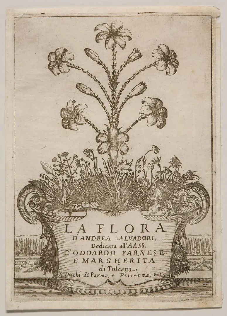 La Flora, Alternativtitel: La Flora, o vero il natal de'fiori, Titel in Vorlageform: La Flora d'Andrea Salvadori. Dedicata all'AA.SS. d'Odoardo Farnese e Margherita di Toscana. Duchi di Parma, e Piacenza, & c.
