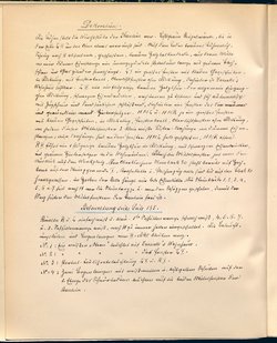 Stein unter Steinen. Schauspiel in vier Akten