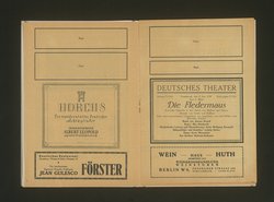 Die Fledermaus