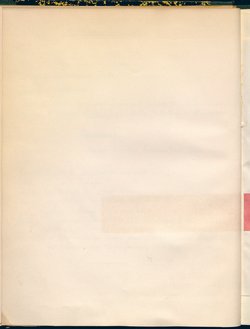 Die drei Grazien
