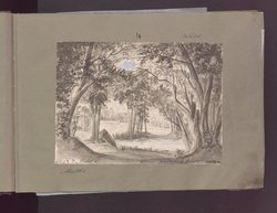 Martha, oder Der Markt zu Richmond