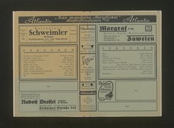 Die Fledermaus
