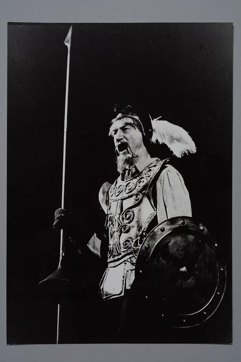 Der Mann von La Mancha