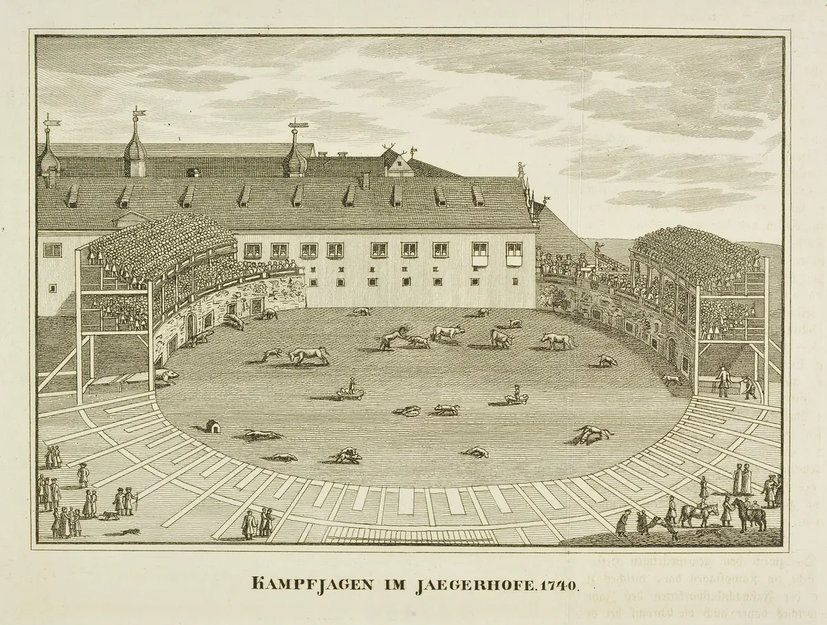 Dresden (allgemein), Jägerhof, Titel in Vorlageform: Kampfjagen im Jaegerhofe. 1740., Titel der Serie: Abbildungen von Dresdens alten und neuen Pracht-Gebäuden, Volks- und Hof-Festen