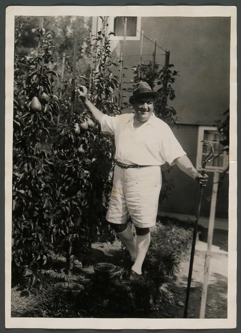 Alfred Piccaver