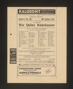 Die schöne Unbekannte