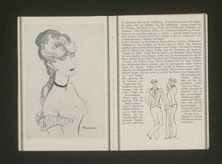 Die Fledermaus