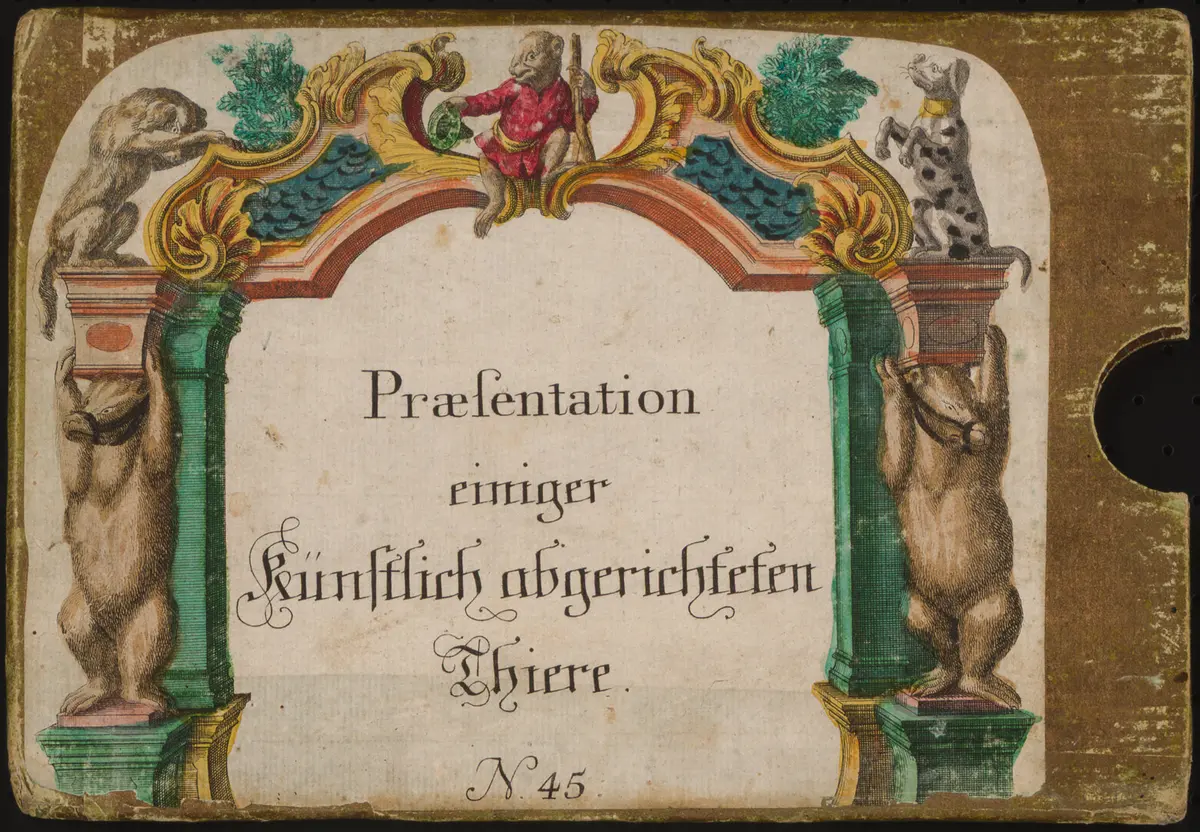 Praesentation einiger künstlich abgerichteten Thiere