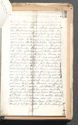 Protokolle der Ausschusssitzungen des Vereines des Deutschen Volkstheaters in Wien