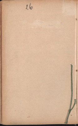 Aufzeichnung