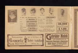 Wien lacht wieder, Die Revue der Stars