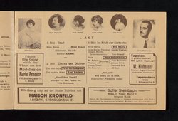 Wien lacht wieder, Die Revue der Stars