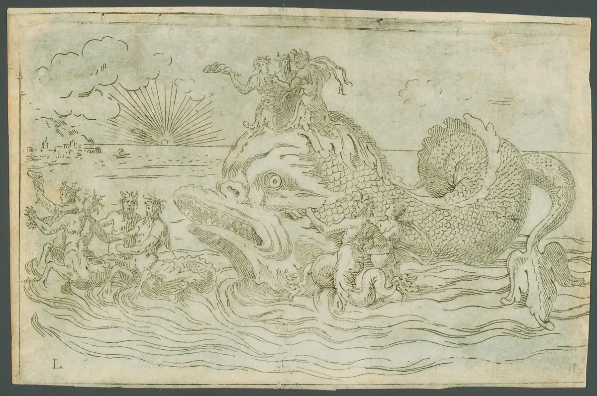 Feste nelle nozze, Titel in Vorlageform: Feste nelle nozze del serenissimo Don Francesco Medici Gran Duca di Toscana; et della sereniss Sua consorte la sig. Bianca Cappello