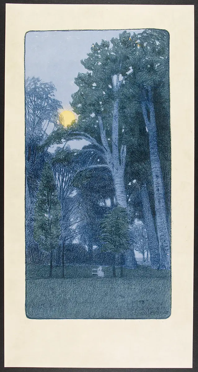 Vollmond über Parkbäumen