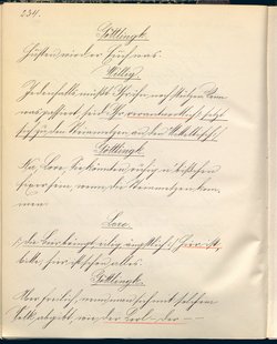 Stein unter Steinen. Schauspiel in vier Akten