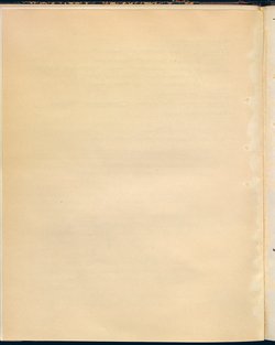 Die drei Reiherfedern
