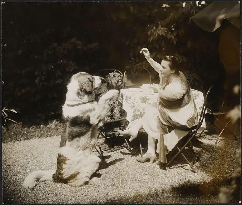 Leopoldine Konstantin