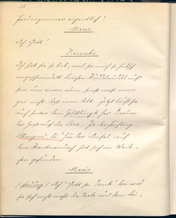 Stein unter Steinen. Schauspiel in vier Akten