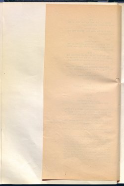 Das Paar nach der Mode
