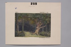 Siegfried, Weiterer Titel: Der Ring des Nibelungen