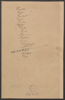 Die Nymphe, Titel der Serie: Figurinen des k.k. Hofoperntheaters