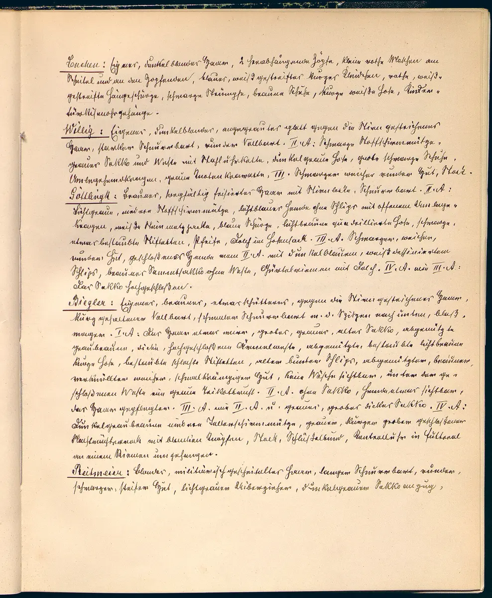 Stein unter Steinen. Schauspiel in vier Akten