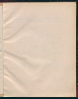 Das schwache Geschlecht