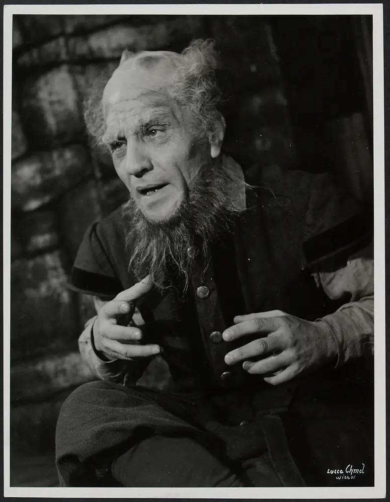 Erich von Mottoni