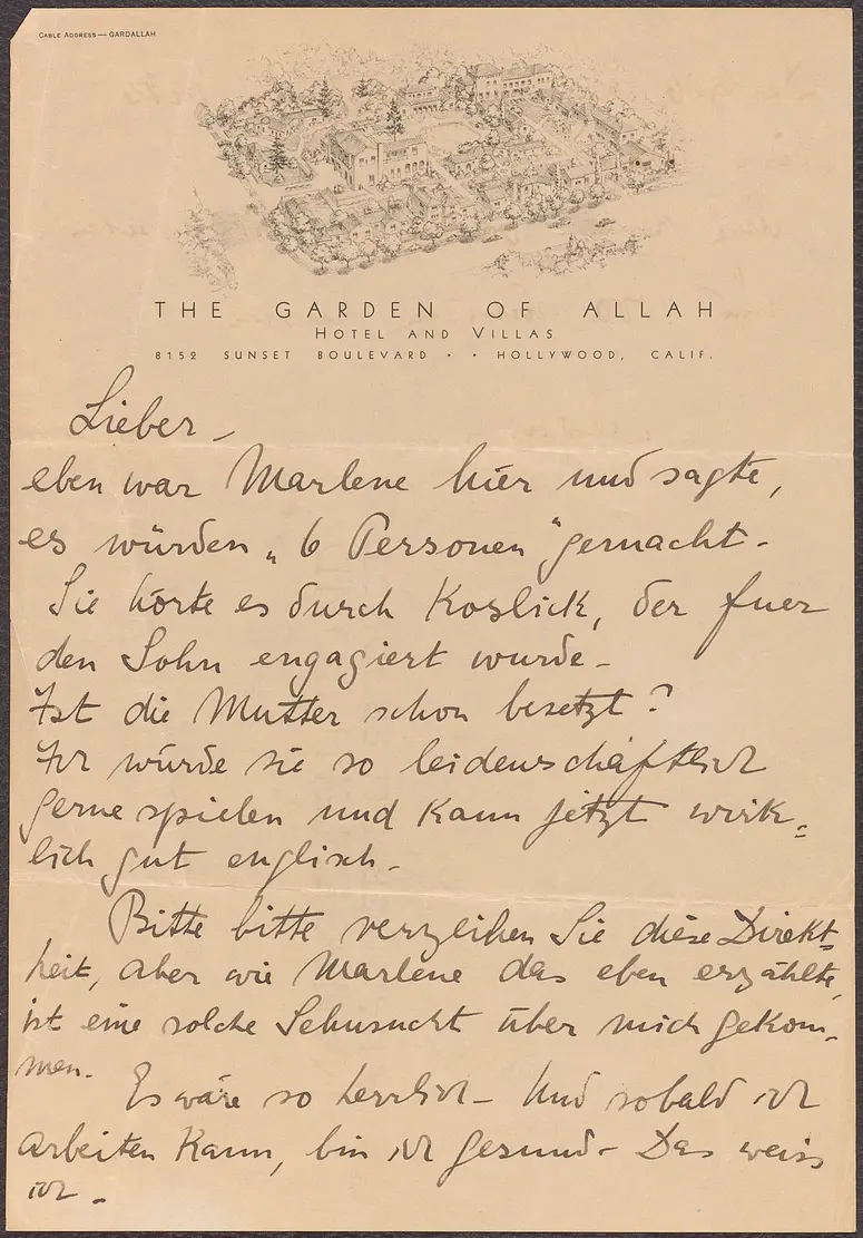 Brief