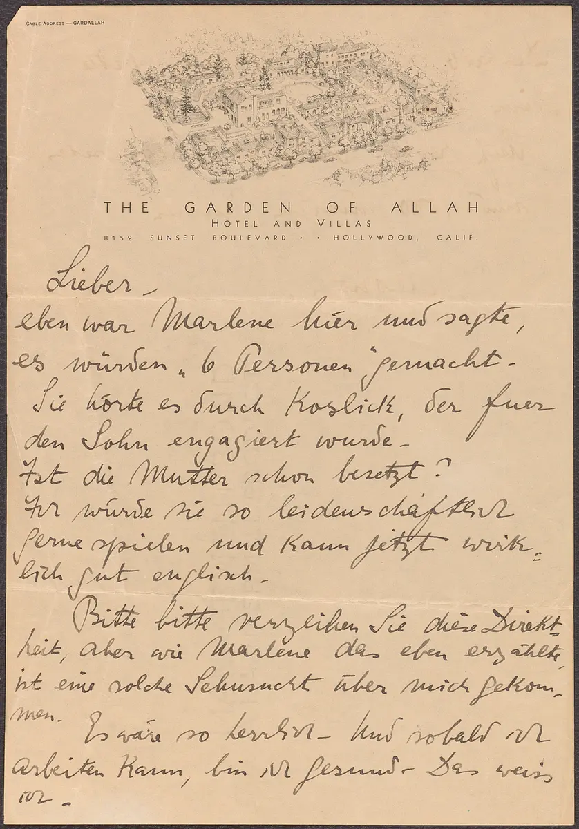 Brief