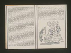Die Fledermaus