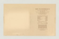 Die Fledermaus