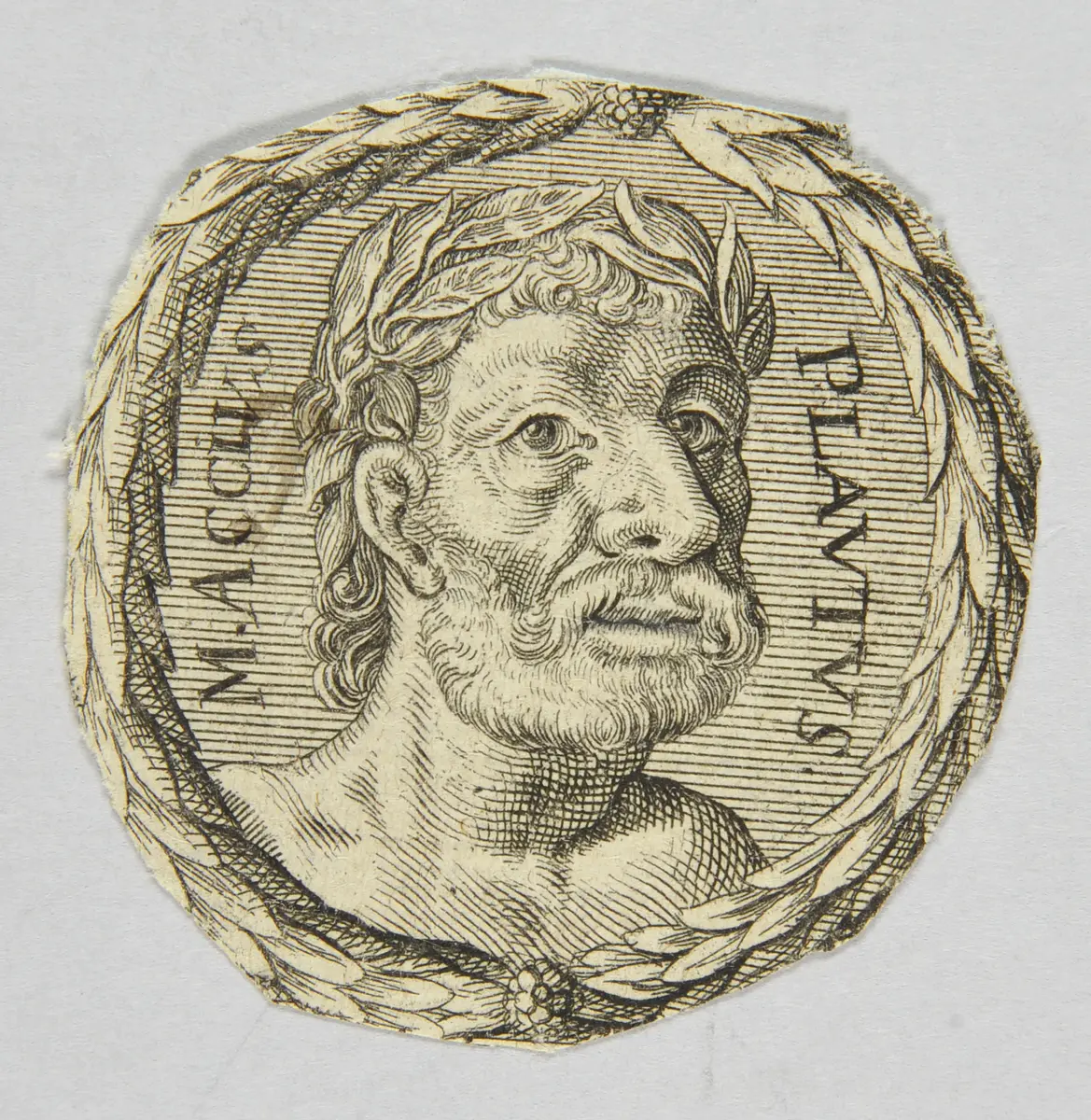 Plautus