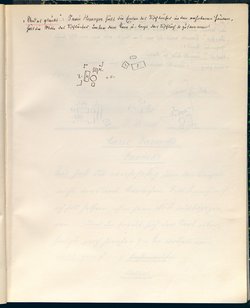 Stein unter Steinen. Schauspiel in vier Akten