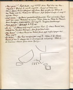 Die drei Reiherfedern