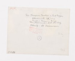 Die Thompson Brothers