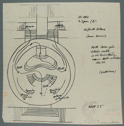 Ein Sommernachtstraum
