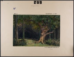 Siegfried, Weiterer Titel: Der Ring des Nibelungen