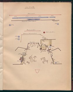 Das schwache Geschlecht