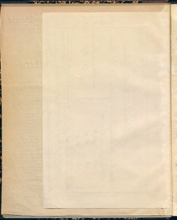 Die drei Reiherfedern