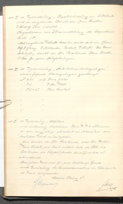 Protokolle der Ausschusssitzungen des Vereines des Deutschen Volkstheaters in Wien