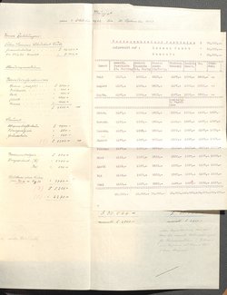 Protokolle der Ausschusssitzungen des Vereines des Deutschen Volkstheaters in Wien