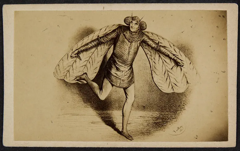 Johann Nepomuk Nestroy, Verweis auf Stücktitel: Orpheus in der Unterwelt