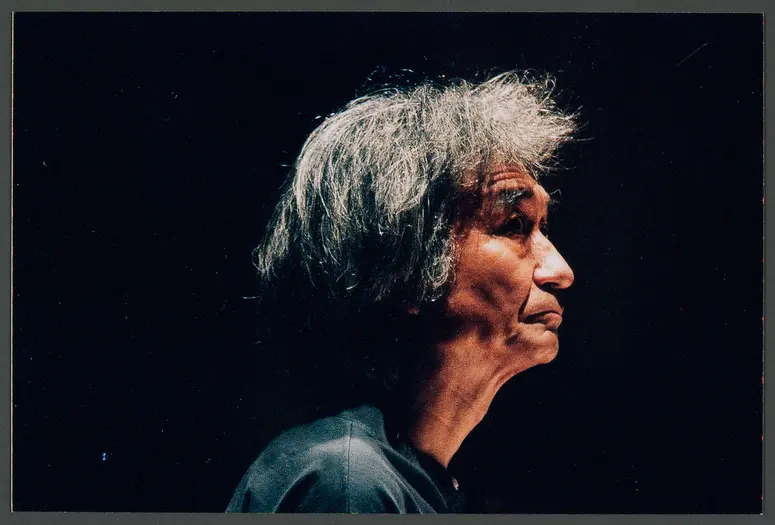 Seiji Ozawa, Verweis auf Stücktitel: Der fliegende Holländer