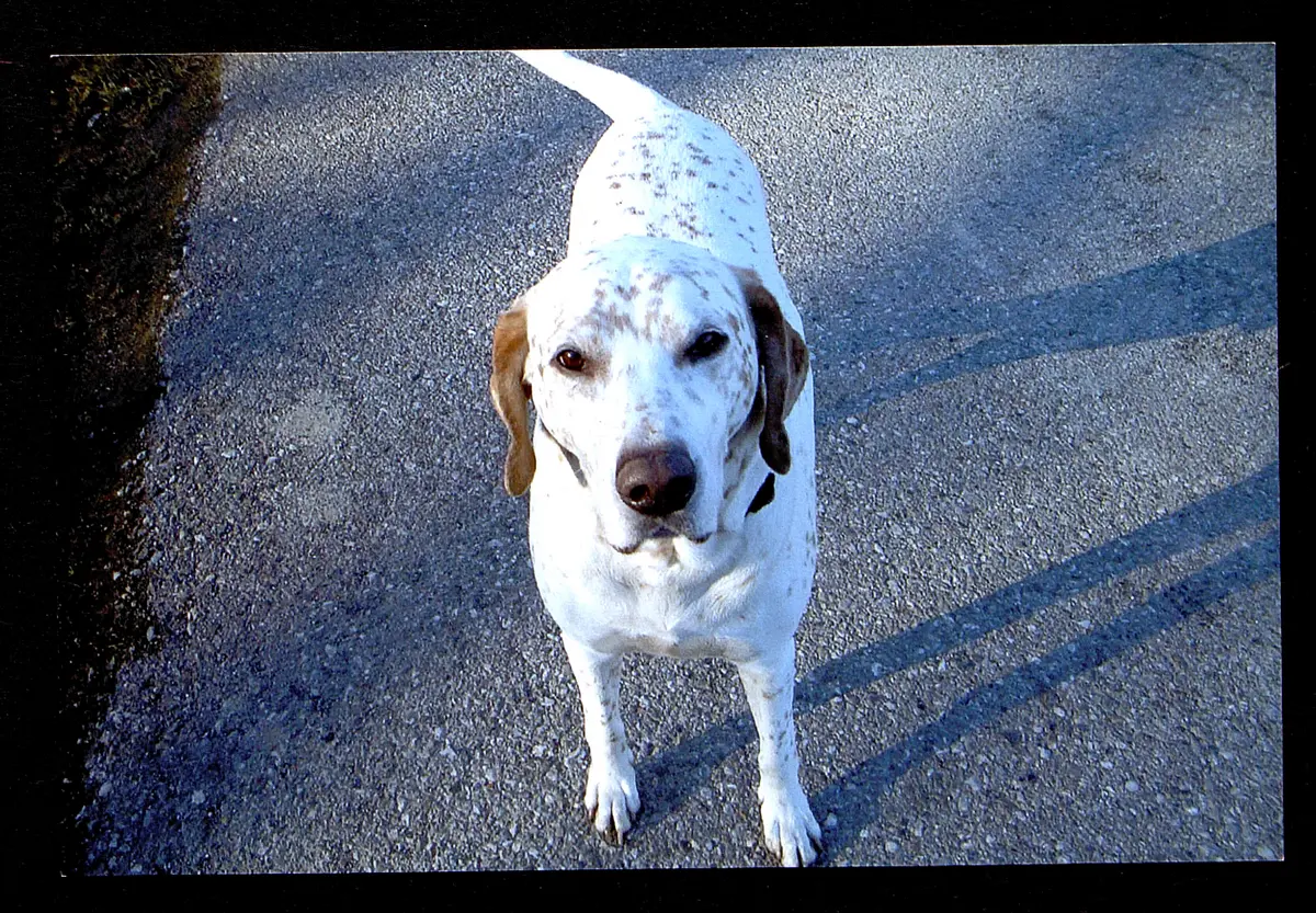 Fritz Muliar