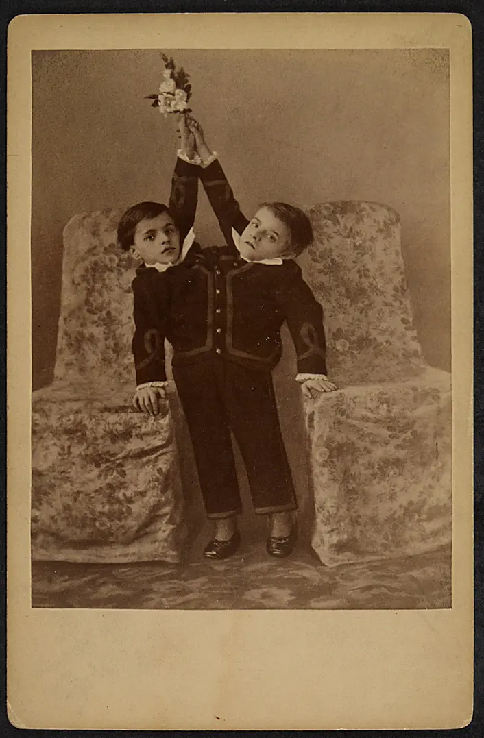 Johann und Jacob Tocci