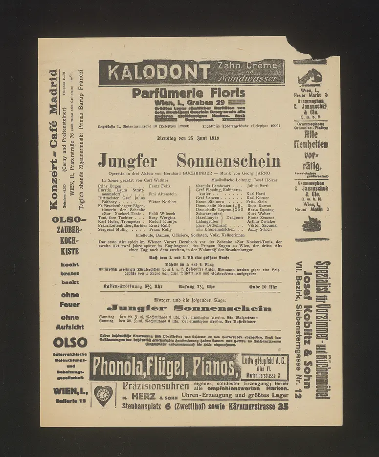 Jungfer Sonnenschein